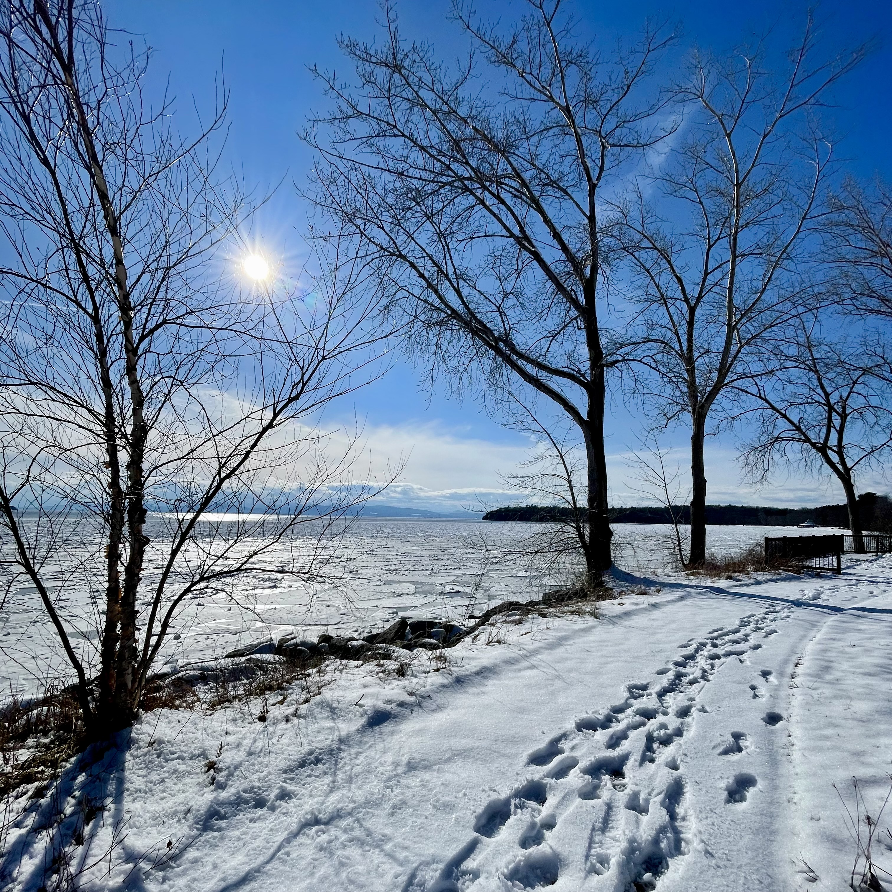 What I’m Up To: April 2026